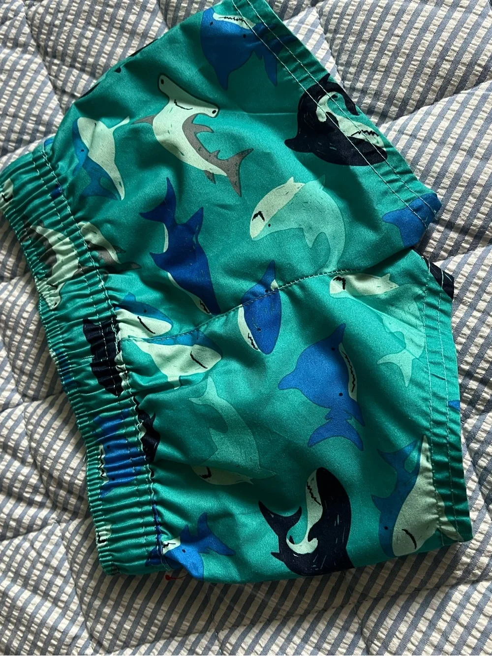 Cat & Jack Teal Shark Swim Shorts with Orange Drawstring